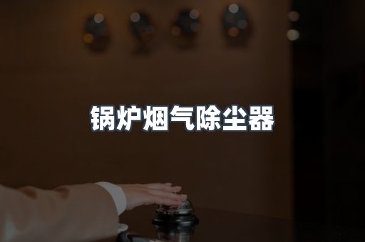 锅炉烟气除尘器