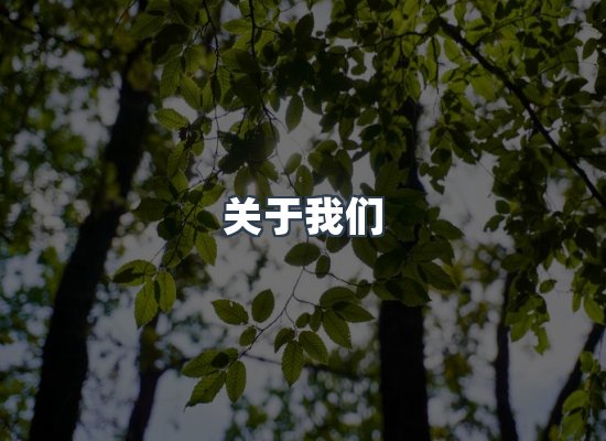 关于我们
