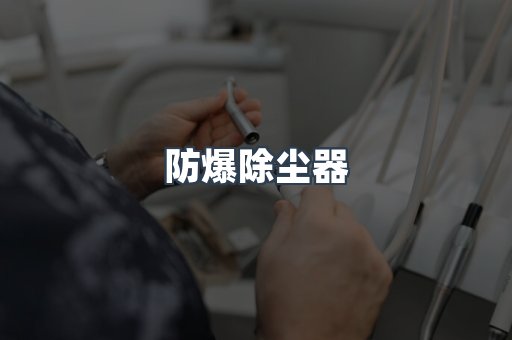 防爆除尘器